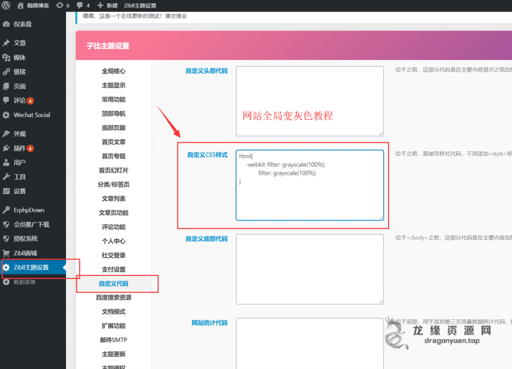 [美化]3行代码让网站全局变灰用以纪念特殊日子-龙缘资源网