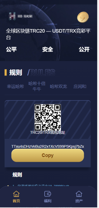USDT/TRX虚拟币哈希竞猜源码 支持四种玩法 区块链 哈希娱乐城-皇冠源码网